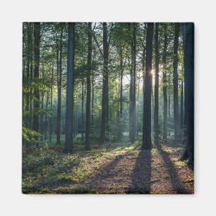 Skogar Tyskland svart skog Magnet