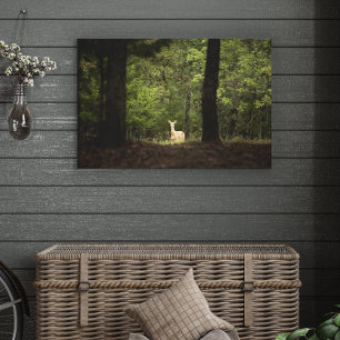 Skogar Vit Hjort i Skogen Canvastryck