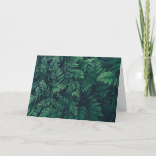 Skogar   Woodland Ferns Kort