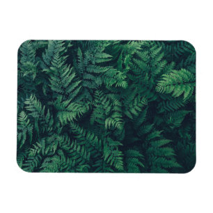 Skogar Woodland Ferns Magnet