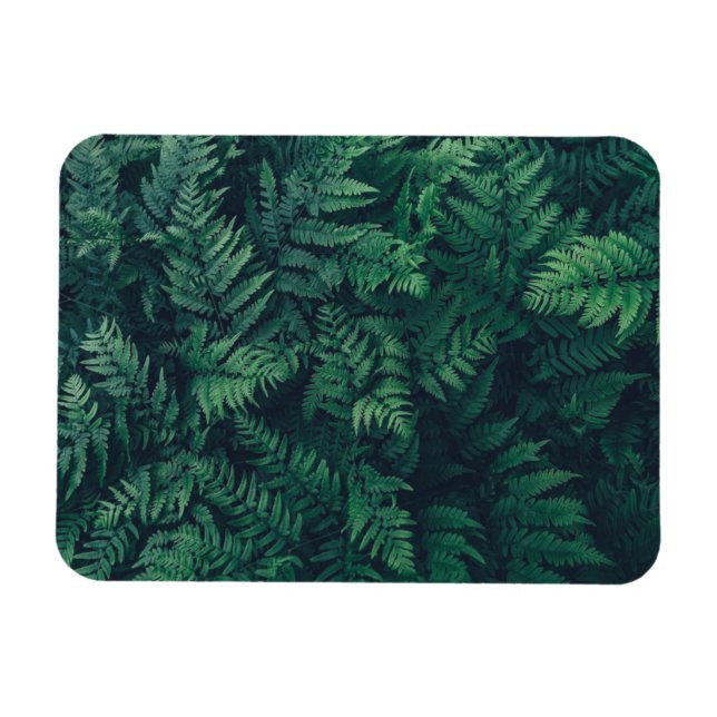 Skogar | Woodland Ferns Magnet (Horisontell)