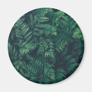 Skogar   Woodland Ferns Magnet