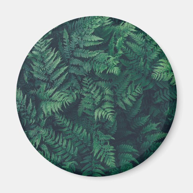 Skogar | Woodland Ferns Magnet (Framsidan)