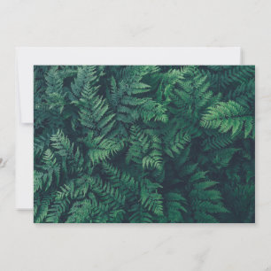 Skogar Woodland Ferns Tack Kort