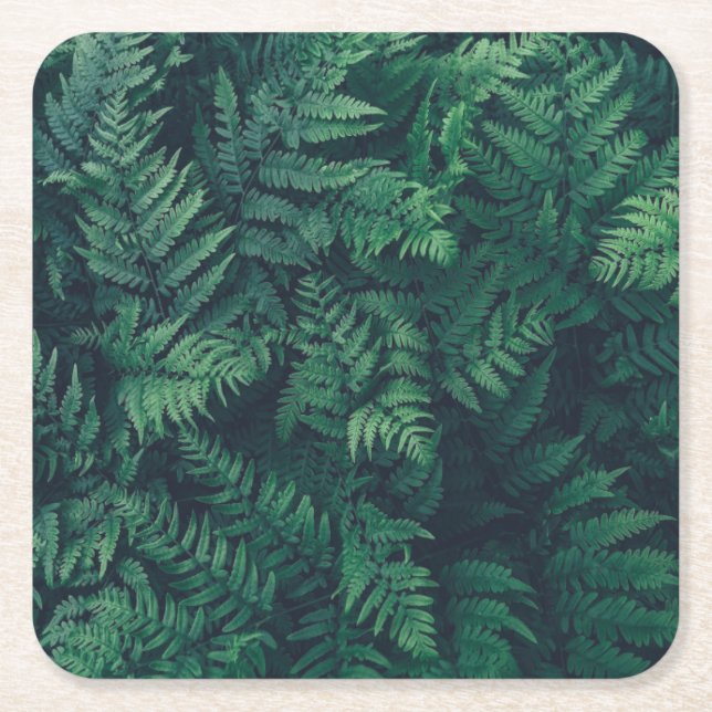 Skogar | Woodland Ferns Underlägg Papper Kvadrat (Framsidan)