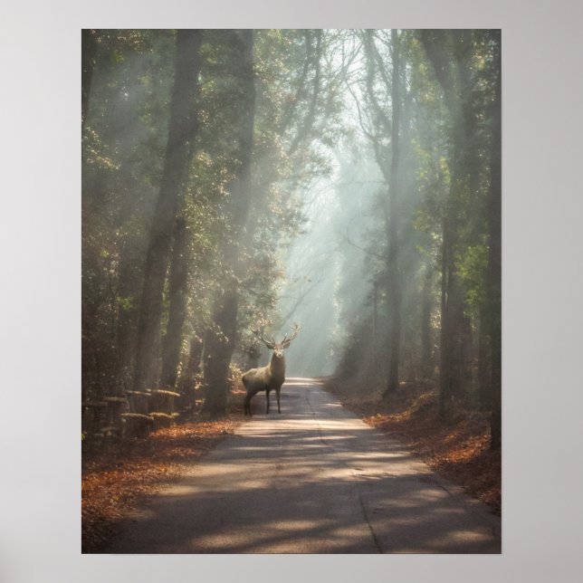Skogar | Woodland Stag Poster (Framsidan)