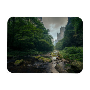 Skogar Zhangjiajie nationalskogspark Magnet