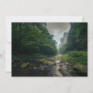 Skogar Zhangjiajie nationalskogspark Tack Kort