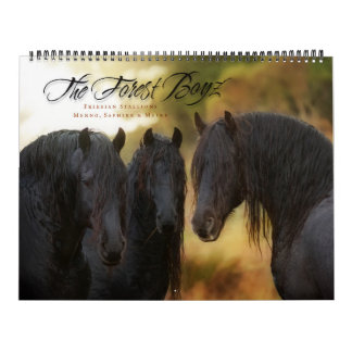 SkogBoyz kalender 2017