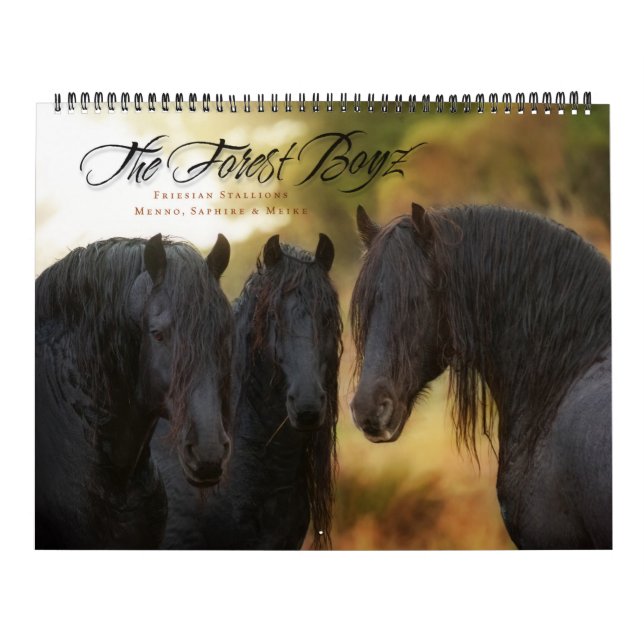 SkogBoyz kalender 2017 (Omslag)