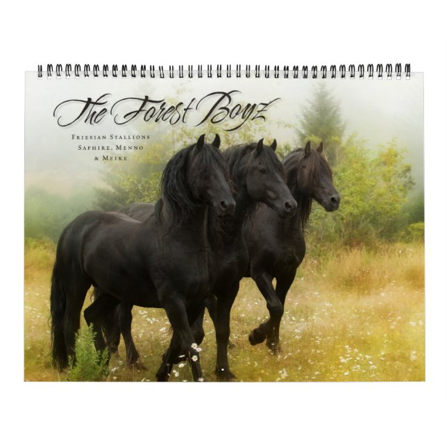 SkogBoyz kalender 2018 (Omslag)
