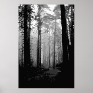 Skogdimma 10 poster