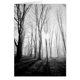 Skogdimma Hälsningskort