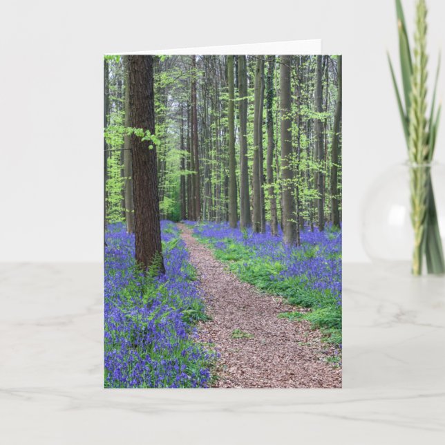 Skogen av Halle | Halle, Belgien Kort (Framsida)