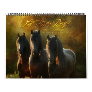 Skogen Boyz - utlovat land Kalender