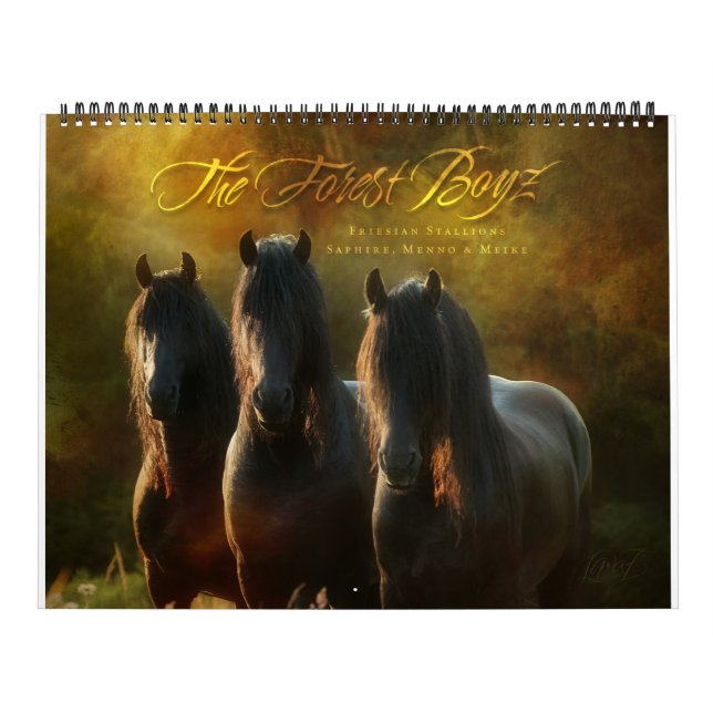 Skogen Boyz - utlovat land Kalender (Omslag)