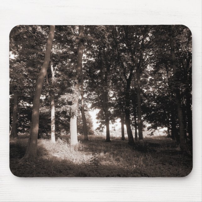 Skogen Bute Park, Cardiff II Musmatta (Framsidan)