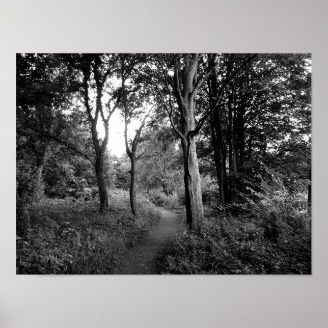 Skogen Bute Park, Cardiff Poster (Framsidan)