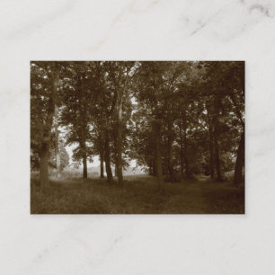 Skogen, Bute Park Cardiff - Sepia toned Visitkort