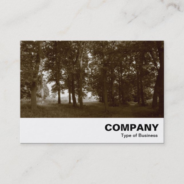 Skogen, Bute Park Cardiff - Sepia toned Visitkort (Framsida)