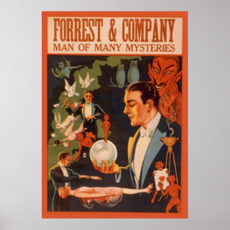 Skogen & Company man från många mysterier Poster