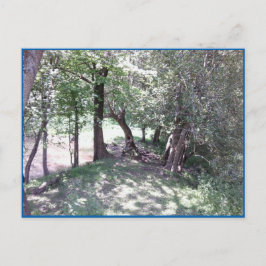 Skogen efter Pond Photo Postcard Vykort