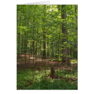Skogen går hälsningskort