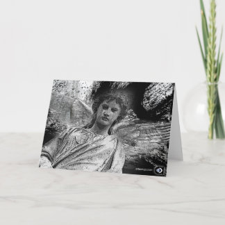 SKOGEN GUARDIAN HELGKORT