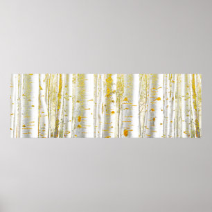 Skogen guld och White Birch Träd Poster