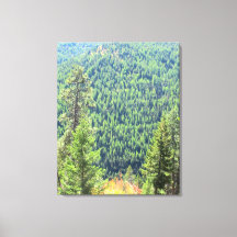 Skogen har arbetats på Canvas