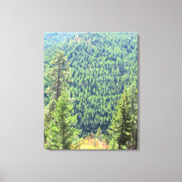 Skogen har arbetats på Canvas