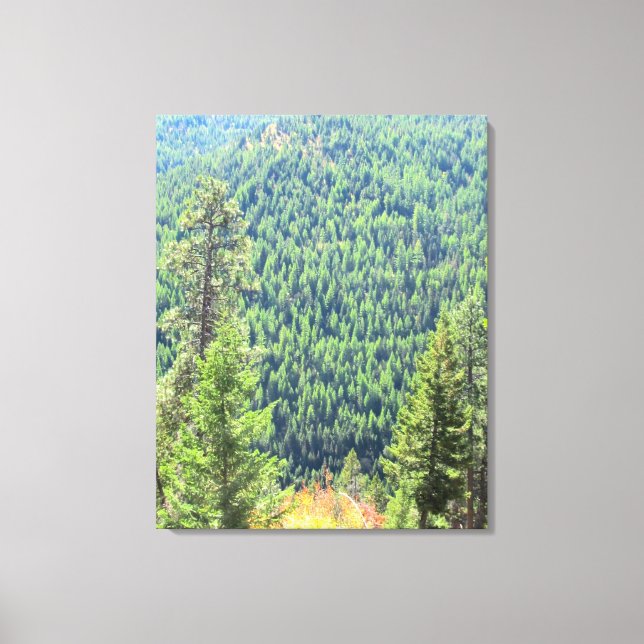 Skogen har arbetats på Canvas (Framsida)