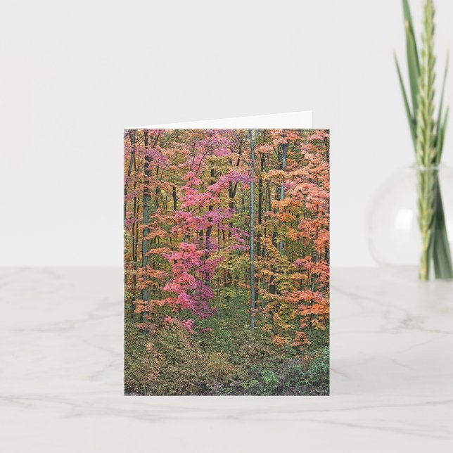 "SKOGEN I ÖSTERN" NOTECARD KORT (Framsida)
