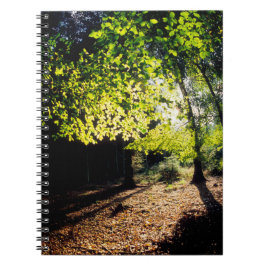 SKOGEN i VÅR Anteckningsbok