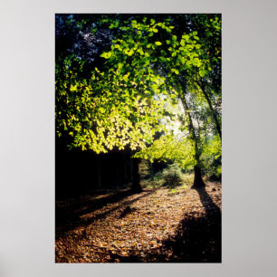 SKOGEN i VÅR Poster