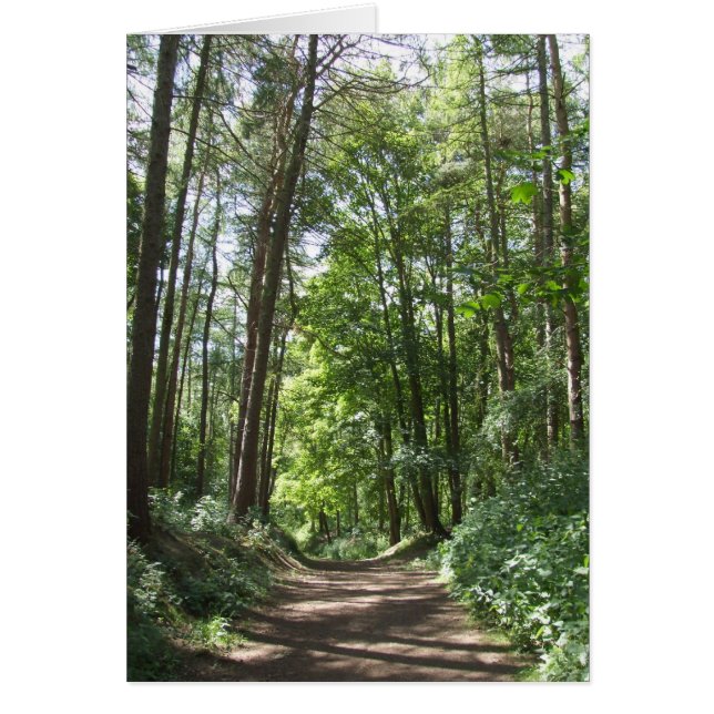 Skogen-kort Hälsningskort (Framsidan)