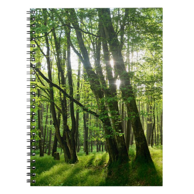 Skogen på våren anteckningsbok (Framsidan)