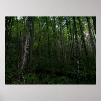 Skogen Poster