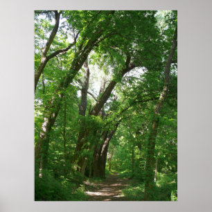 Skogen Poster