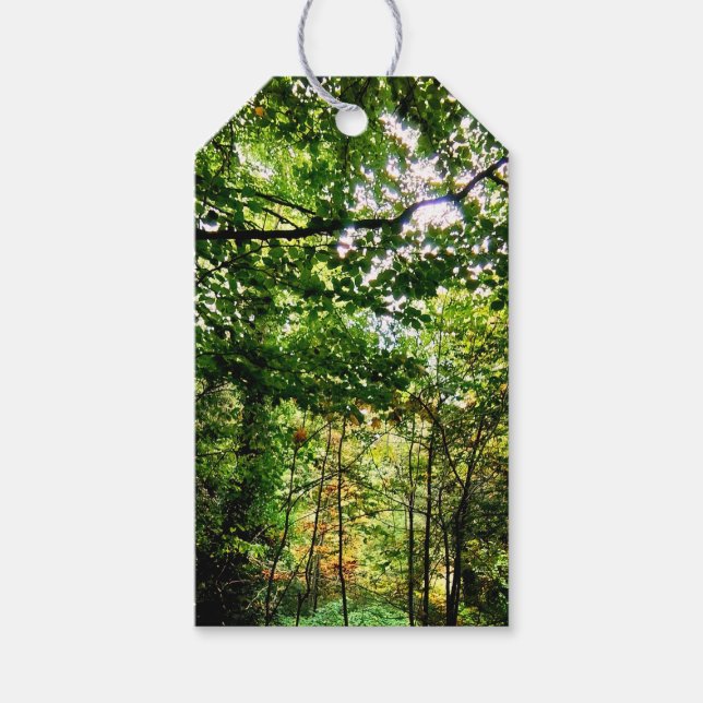 Skogen Presentetikett (Framsidan)