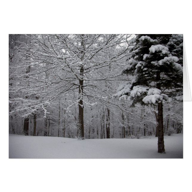 Skogen-vy Hälsningskort (Framsidan Horizontal)