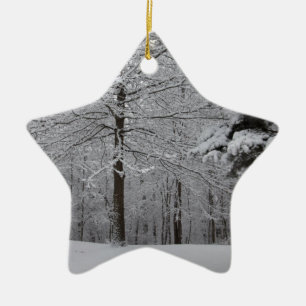 Skogen-vy Julgransprydnad Keramik