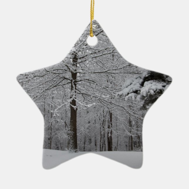 Skogen-vy Julgransprydnad Keramik (Framsidan)
