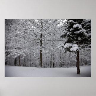 Skogen-vy Poster