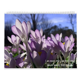 Skogen Walking 2022 Calendar Kalender