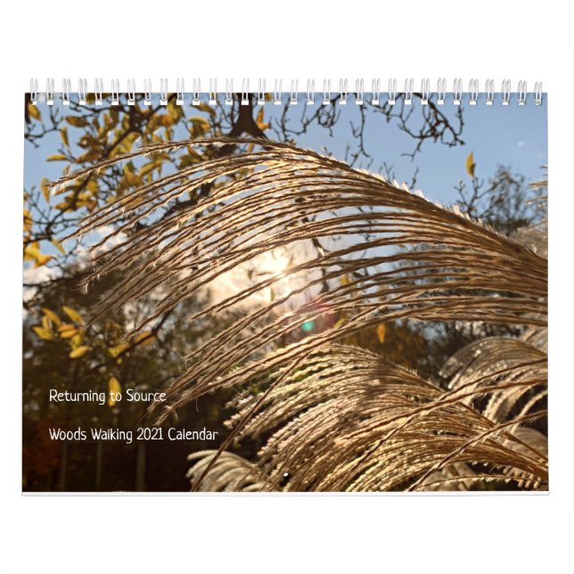Skogen Walking Inspiron 2021 Kalender (Omslag)