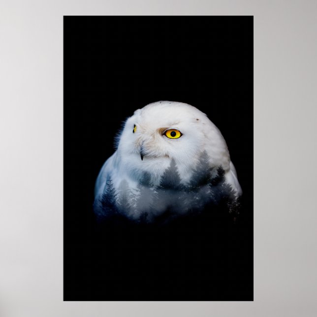 Skogens drottning poster (Framsidan)