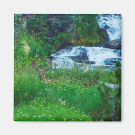 Skogens prins magnet