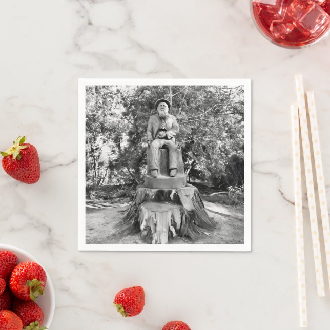 Skogens väktare pappersservett (Insitu)