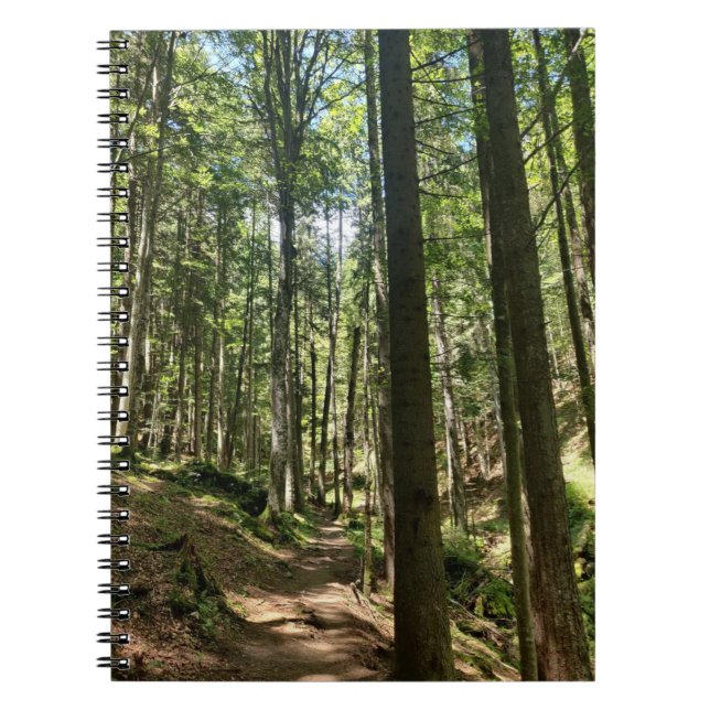 Skogens viskare anteckningsbok (Framsidan)